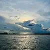 antoollns