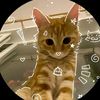 javizz_779