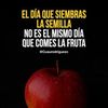brenda.rivas598