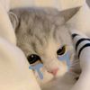 _nyssya