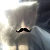 seanlullah_