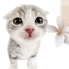 blurntt