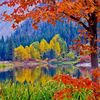 libanais_libre