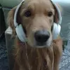 dimpledskyyy