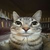 kuza_lakomka4