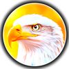 ameenkha364