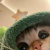 kitty_pearl636