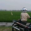 faustadan2