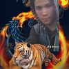 vanlong7988