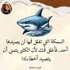 tiyal.ismail