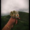 aliyeva_738