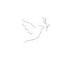 merpati🕊