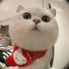 user_5601129733416