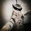 frita_marlita