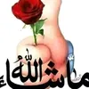 user9561278353175