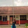 desintaa.aja