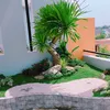 tien_tien_111