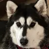 finbeaufifi
