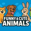 ⚜️Funny&Cute Animals⚜️