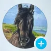 nasim87657