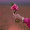 user9973036213077