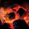 costarfiremaster.salone