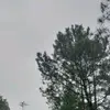 khdfi_20