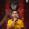 pets.daravong