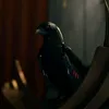 yakuza_nerrd1