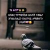 eysus1230