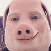 bdavo38