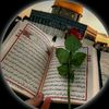 ganashref6