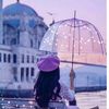 mst.mim.khatun640