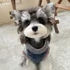 Doggy