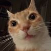 mhmdjm16
