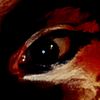 bloodyeyes13