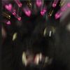 beansbeanzzz