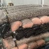 cityfabrics2586