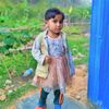 md.sohel4879
