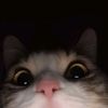 vextheonlylol