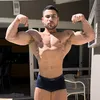 lucastrenbolone