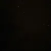 .zee031