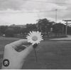 damaris.castro499