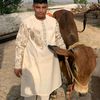raja.usman731