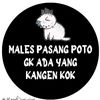 badill8_