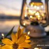 nourbarakat578