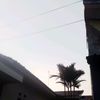 zizah_zahh11