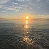 adina_weisberg23