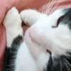 biankabibigivememany
