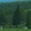 biche3441